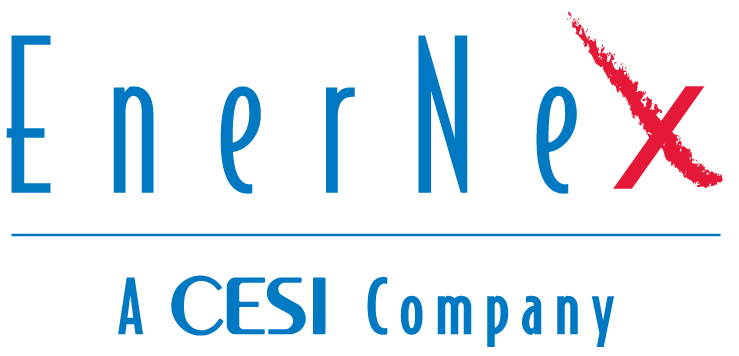 EnerNex, Grid modernization